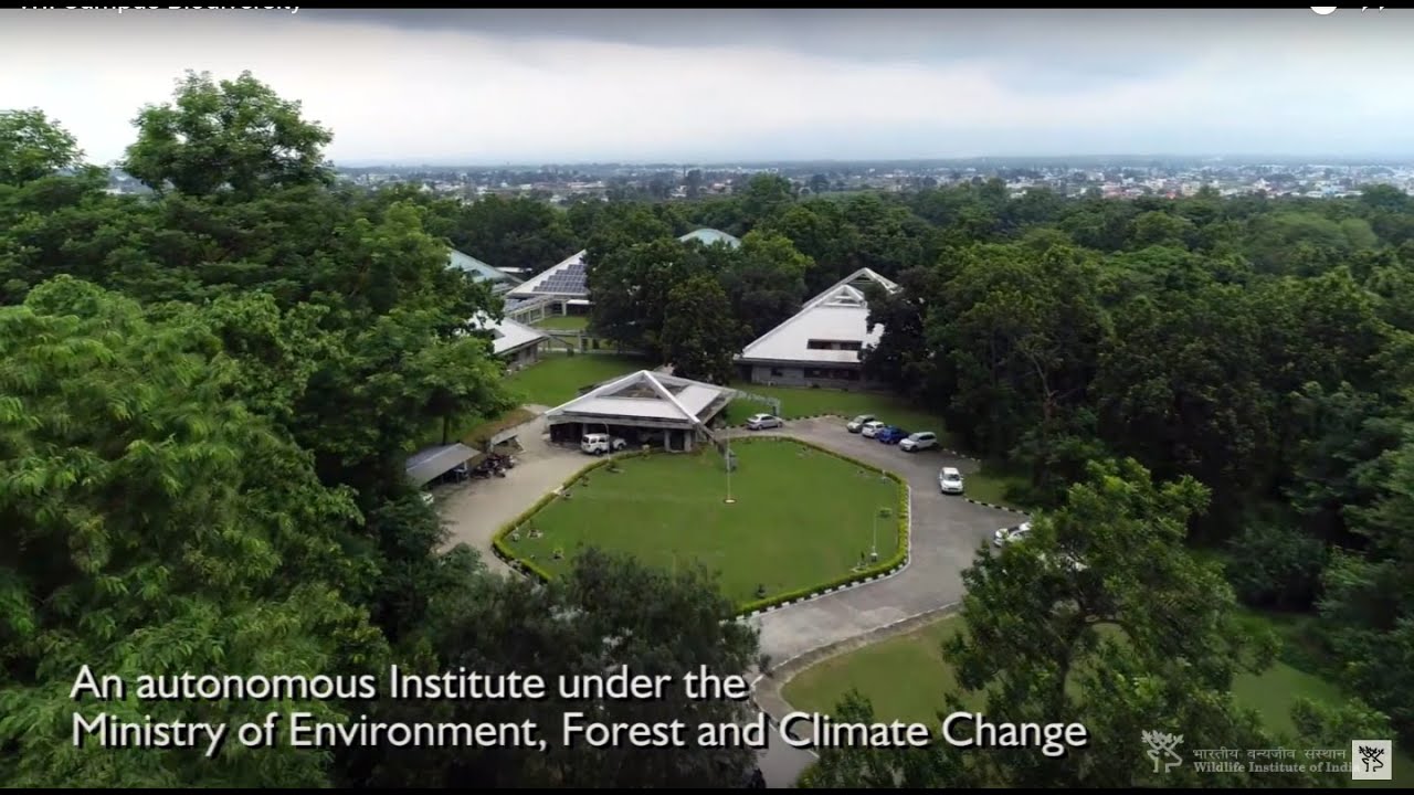 WII Recruitment 2025 | 10th Pass to Any Degree | Apply now