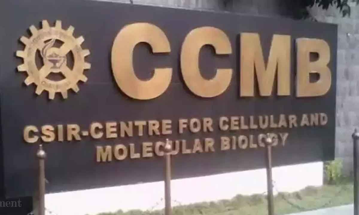 CCMB Recruitment 2026 | Salary Rs 39545 | Apply now