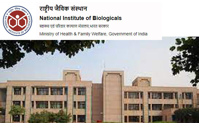NIB Recruitment 2026 | Salary Rs 19900 TO 209200 | Apply now